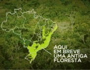 Contratação de Profissional para atuar no Convênio celebrado entre a Petrobrás, INEA e Sociedade Ecoatlântica, visando o desenvolvimento e implementação de modelo de gestão de grandes projetos de restauração florestal