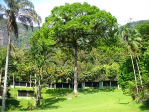 CPRJ